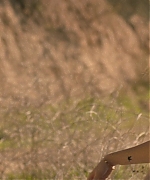 Filename=LLBR0694.jpg
Filesize=684KiB
Dimensions=1920x808
Date added=May 15, 2022 LLBR0694.jpg